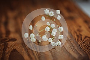 Bunch of white fowers gypsophila on a wooden background,