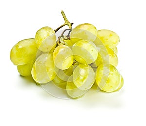 Bunch of white grape