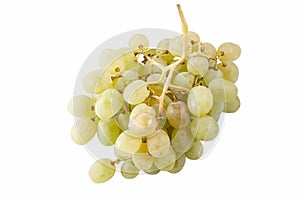 A bunch of white grape