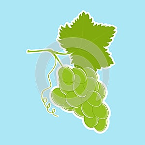 Bunch of white grapes with a leaf