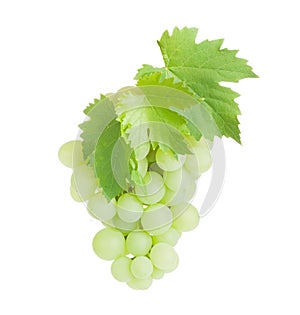 Bunch of white grapes with leaves