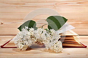 Bunch of white lilacs and open book on wooden background