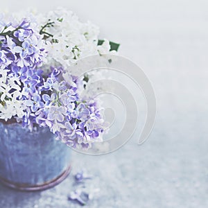 Büschel aus weiß a lila lila Blumen metall uralt Eimer 