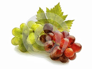 Bunch of white and red grapes