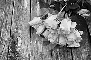 A bunch of white roses