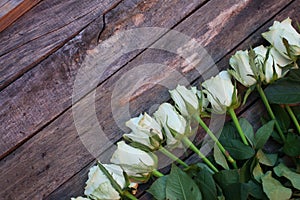 A bunch of white roses