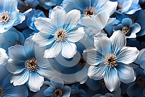 A bunch of white, yellow and blue flowers. Blue floral background