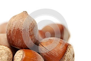 Bunch whole hazelnuts or filberts with shell macro isolated white background quater view