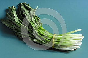 A bunch of wild cherry on a colored background close - up sharpness in the foreground. ÃÂllium ursÃÂ­num.