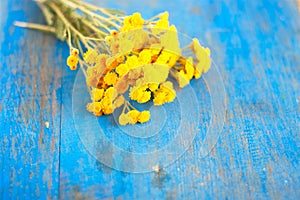 Bunch of wild flowers on the blue board