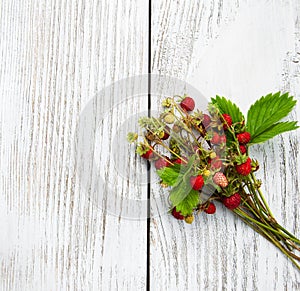 Bunch of wild strawberry