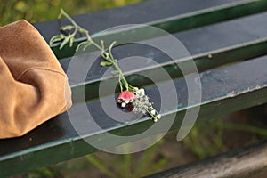 A bunch of wilted wild flowers on a bench
