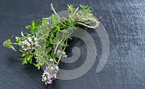 Bunch of Winter Savory
