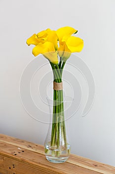 Bunch of yellow callas in the vase