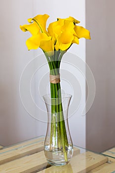 Bunch of yellow callas in the vase