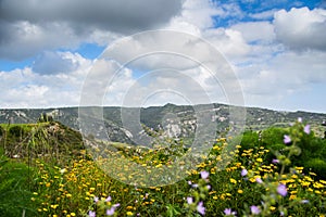 A bunch of yellow chamomiles over a background of beautiful calming Cyprus valley and mountains. Dramatic cloudy sky above the