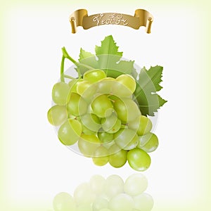 Bunch of yellow or green grapes with vine leaves isolated on white background. Cluster of grape. Realistic, fresh