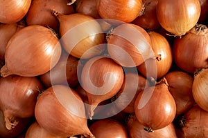 a bunch of yellow onions or brown onions in large quantities