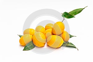 Bunch of yellow ripe or plum mango on white background, call