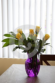 Bunch of yellow roses in a purple vase in front of window