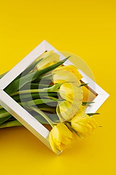 Bunch of yellow tulip flowers