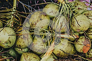 a bunch of young coconuts