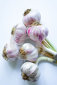 A bunch of young garlic on a white background.