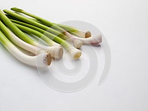 Bunch of young garlic on white background 2