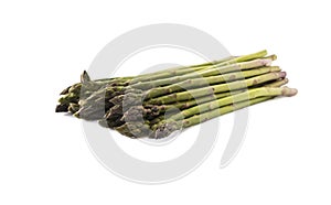 Bunched asparagus isolated on white background. Asparagus with copy space for text