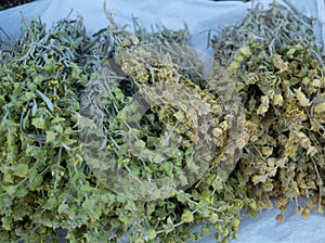 Bunches of Albanian Dried Sideritis Mountain Tea