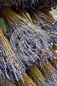 Bunches of aromatic dried lavender flowers for sale in shop in Provence, France