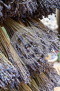 Bunches of aromatic dried lavender flowers for sale in shop in Provence, France