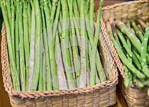 Bunches of asparagus on a wood background