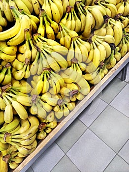 Bunches of bananas in the store on the rack