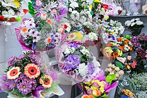 bunches of big fresh orange pink red gerbera chamomile and big white yellow blue chrysanthemum flower