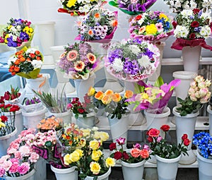 bunches of big fresh orange pink red gerbera chamomile rose and big white yellow blue chrysanthemum flower