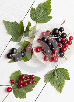 Bunches of black currant and red current with leaves on white wooden board. Flat lay. Top view