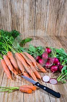 Bunches of carrots and radishes