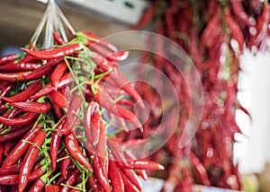 Bunches of chilli peppers hanging at the market