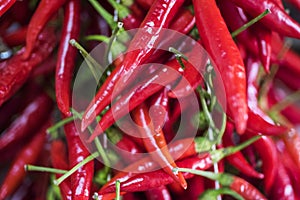 Bunches of chilli peppers hanging at the market