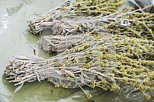 Bunches of dried ironwort or Greek mountain tea (Sideritis Scardica) used as aromatic hot drink or in herbal medicine