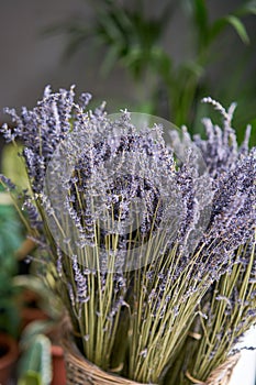 Bunches of dried lavender in basket. flower shop. Flowers delivery