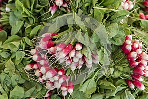 Bunches of fresh, French breakfast radishes on a market stall in Nice, France