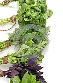 Bunches of fresh herbs on white background