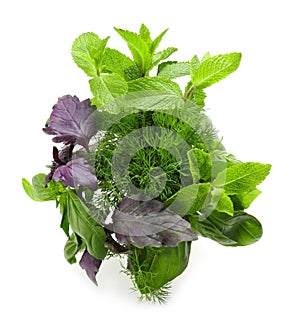 Bunches of fresh herbs on white background