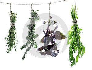 Bunches of fresh herbs on white background