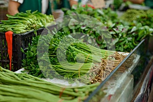 Bunches of fresh parsley