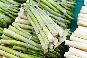 Bunches of fresh raw green organic asparagus vegetables for sale at farmers market. Vegan food concept. Stock photo green