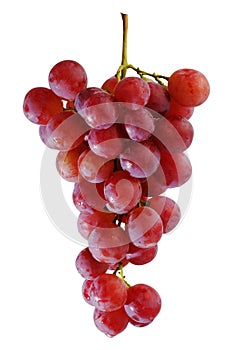 Bunches of fresh red grapes