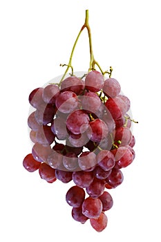 Bunches of fresh red grapes